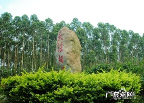 北海投资7万 广西北海最好做赚钱的5大生意项目