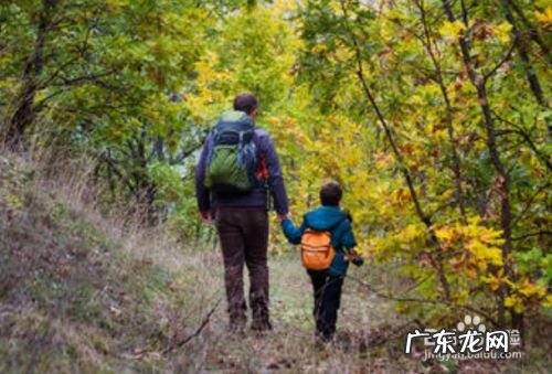 手机上挣钱 怎样能用手机赚钱