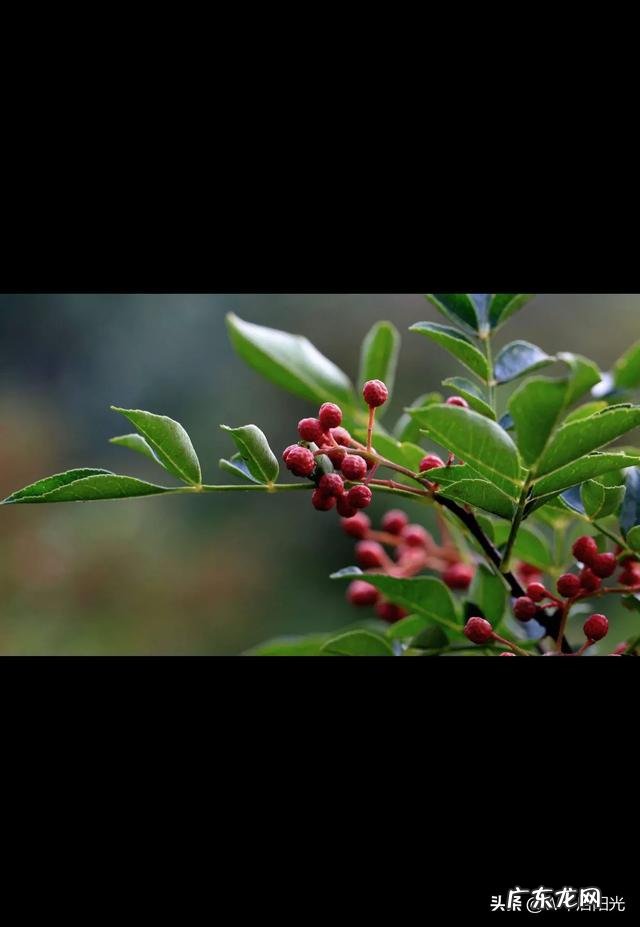 你觉得调料之乡有哪些?怎么样?