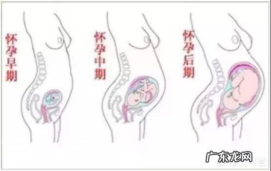 产后的大肚腩怎么恢复 产后为什么大肚子不容易恢复?