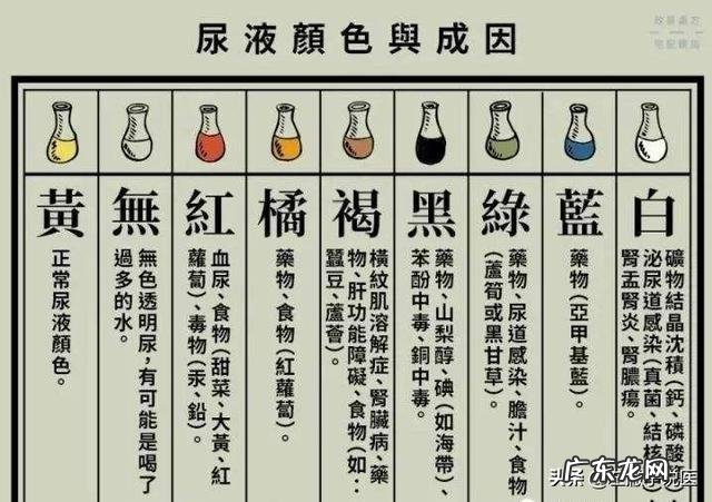 不同颜色尿液是否预示不同疾病?