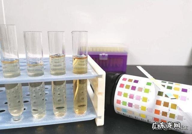 不同颜色尿液是否预示不同疾病?