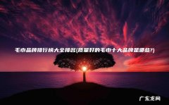 质量好的毛巾十大品牌是哪些? 毛巾品牌排行榜大全排名