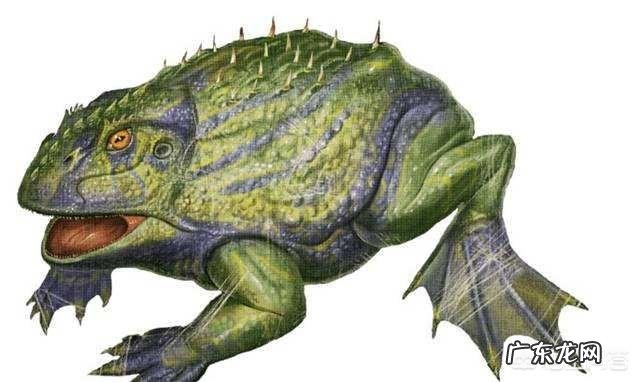 生活在7000万年前的魔鬼蛙,真的能猎杀恐龙吗