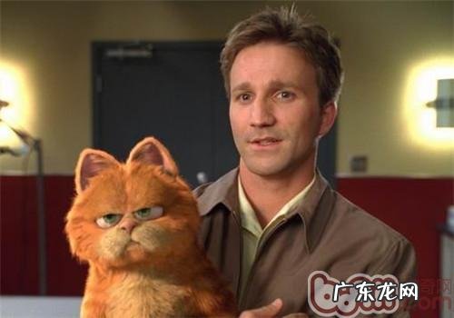 猫咪与主人天伦之乐的办法