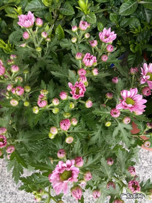 如果你知道明天就会死你会做什么?