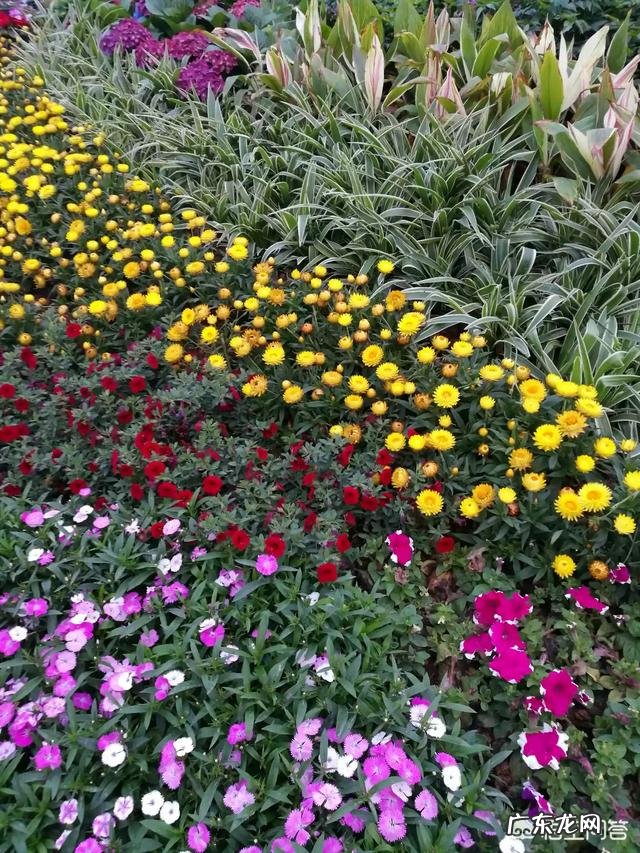 如果你知道明天就会死你会做什么?