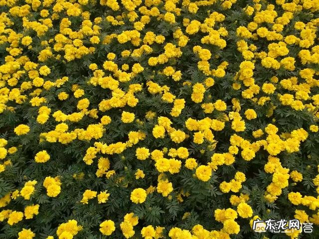 如果你知道明天就会死你会做什么?