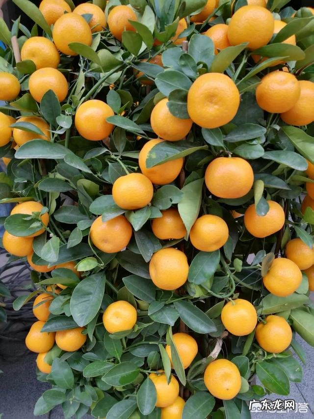 如果你知道明天就会死你会做什么?