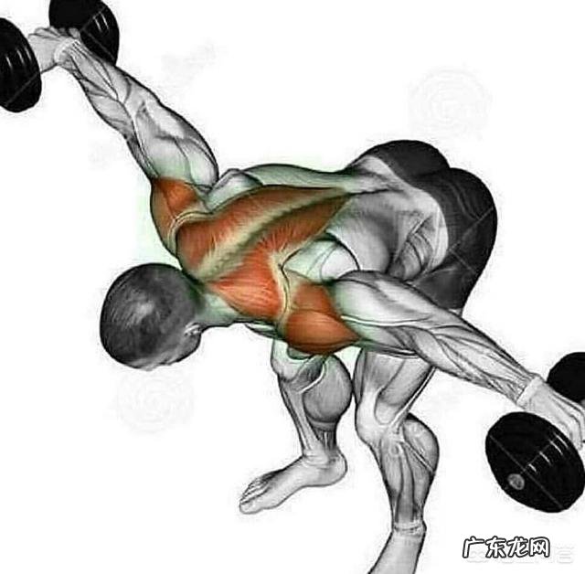 健身房里瘦手臂上的拜拜肉就是蝴蝶袖，需要做哪些器材？