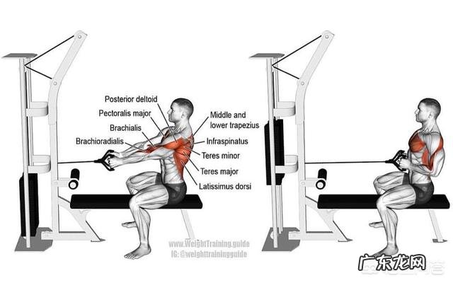 健身房里瘦手臂上的拜拜肉就是蝴蝶袖，需要做哪些器材？