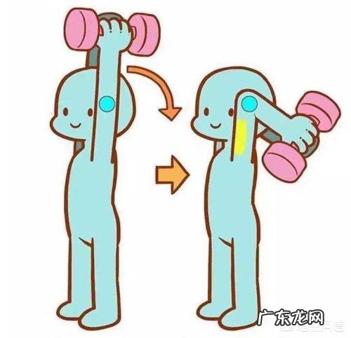 健身房里瘦手臂上的拜拜肉就是蝴蝶袖，需要做哪些器材？