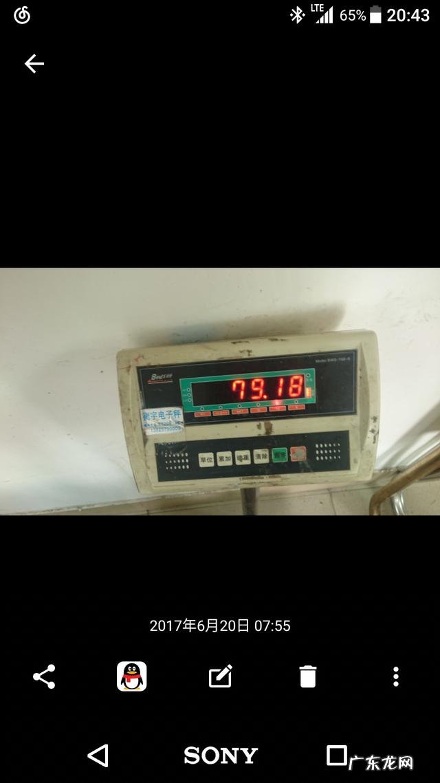 晚上睡觉前吃水果和零食减肥吗？