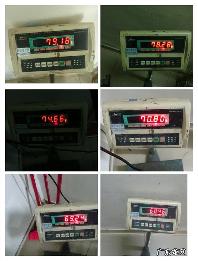 晚上睡觉前吃水果和零食减肥吗？