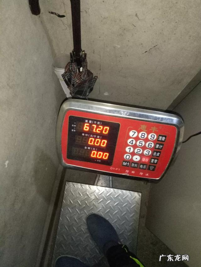 晚上睡觉前吃水果和零食减肥吗？