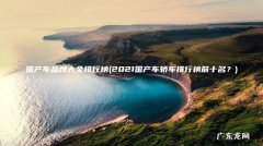 2021国产车轿车排行榜前十名？ 国产车品牌大全排行榜