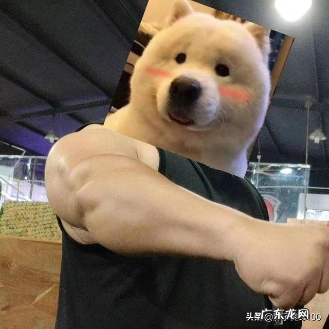 不戒酒的情况下有可以有效的减肥的方法吗