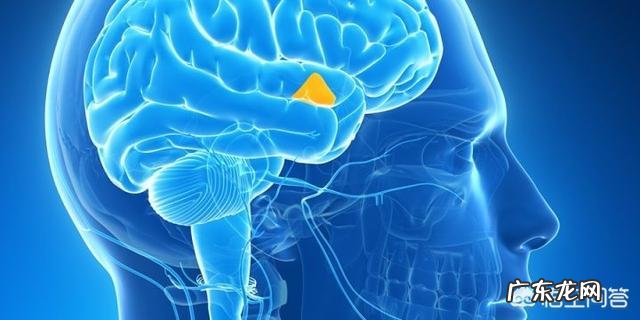 每天走路一小时有什么好处?能减肥吗?