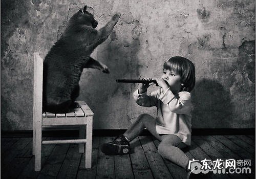 猫咪应该从小练习吗?