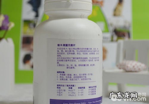 怎么处理猫咪反常摄食