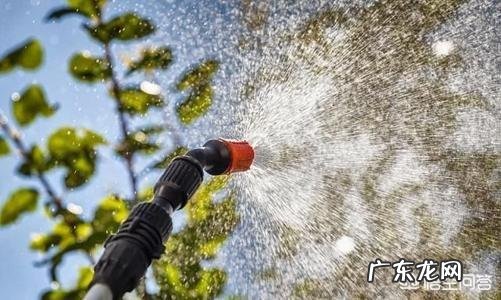 农药过期后还能用吗？用了会有什么坏处？