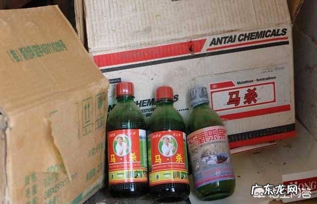 农药过期后还能用吗？用了会有什么坏处？