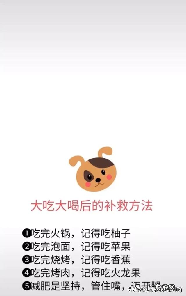 阿尔及利亚是个怎样的国家?