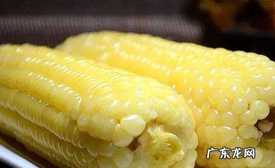 减肥饮食搭配app 减肥要遵循哪些铁的饮食规律?