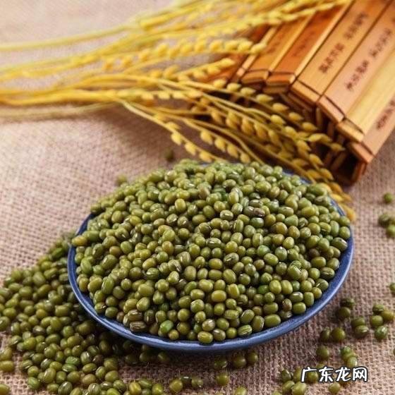 减肥饮食搭配app 减肥要遵循哪些铁的饮食规律?