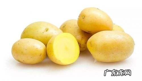 减肥饮食搭配app 减肥要遵循哪些铁的饮食规律?