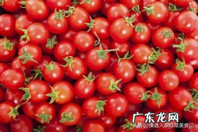 红萝卜和番茄能一起吃吗 经常吃番茄对身体有什么影响？