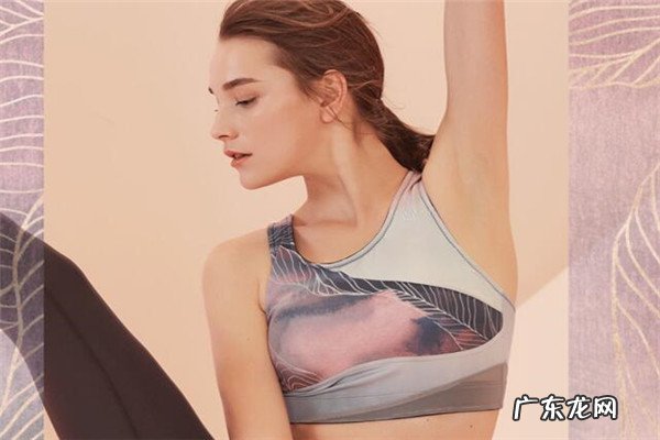 内衣专卖店哪个牌子好 十大运动内衣的品牌排行榜