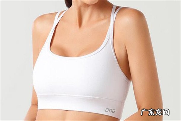 内衣专卖店哪个牌子好 十大运动内衣的品牌排行榜