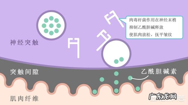 减肥后脸上法令纹好明显怎么办？