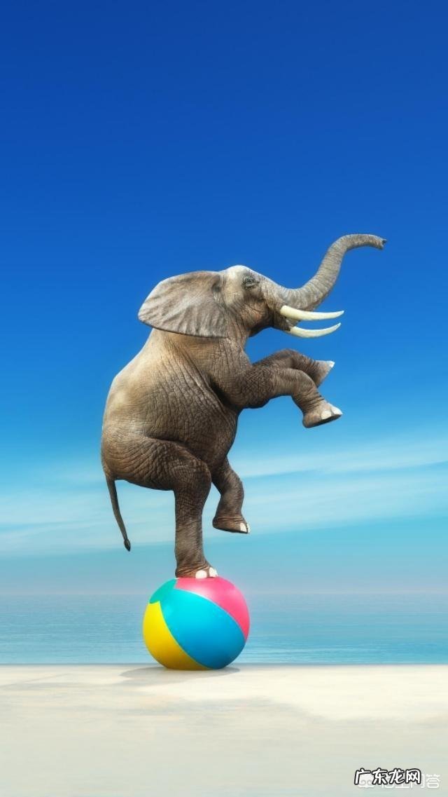 家长怎么制作幼儿园好习惯表