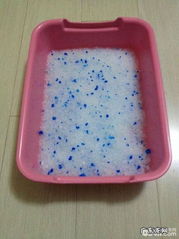 怎么教训猫咪运用猫砂盆