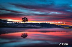 20岁男装推荐什么牌子？ 适合24岁左右男装品牌大全排行榜