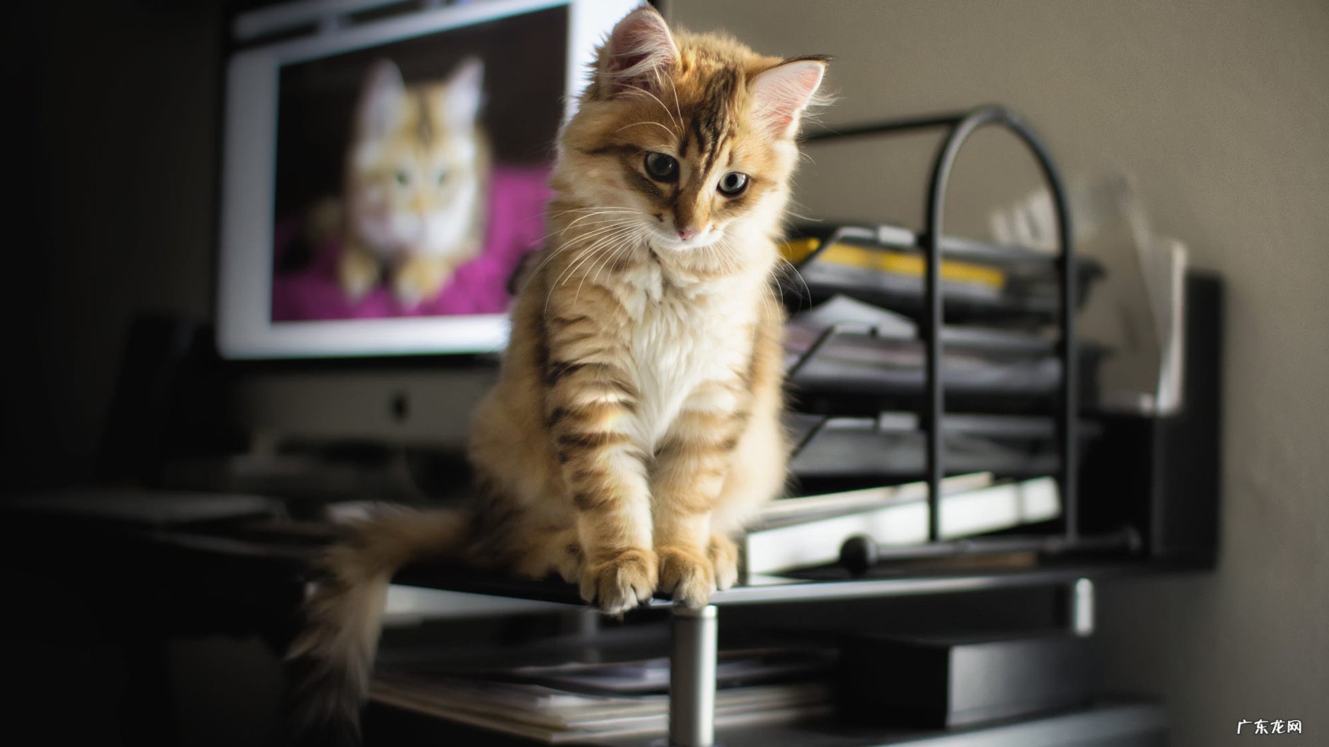 应该怎么样给宝宝挑选纸尿裤的型号呢?