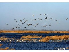 松原哪个地方有好玩的 松原最有名的娱乐地方是哪？