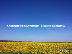 天天特价报名条件是什么 天天特价报名审核不通过的主要原因是什么?