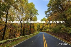 韩国什么牌子口红好 口红品牌大全排行榜韩国