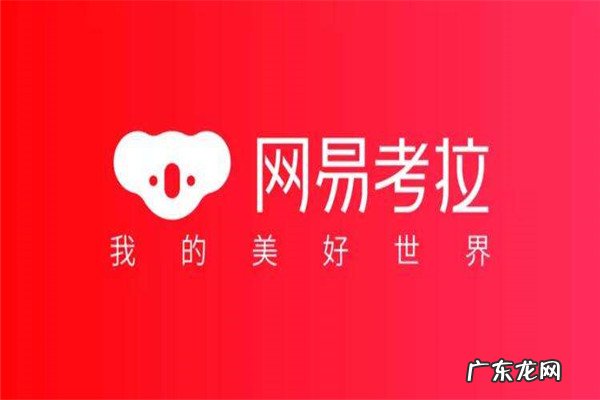 app2020年集卡活动 2020十大购物APP