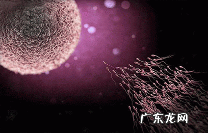 对于减脂的人来说,健身后要不要吃东西?