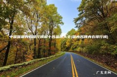 国内名牌内衣排行榜 中国保暖内衣排行榜前十名品牌大全