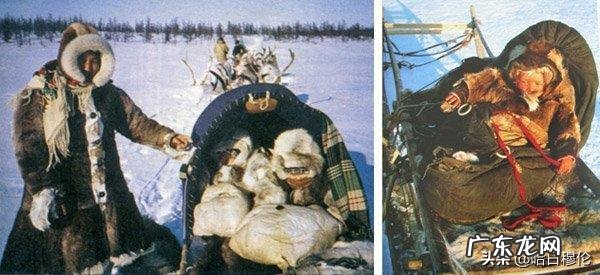 婴儿的摇篮视频-婴儿摇篮视频大全