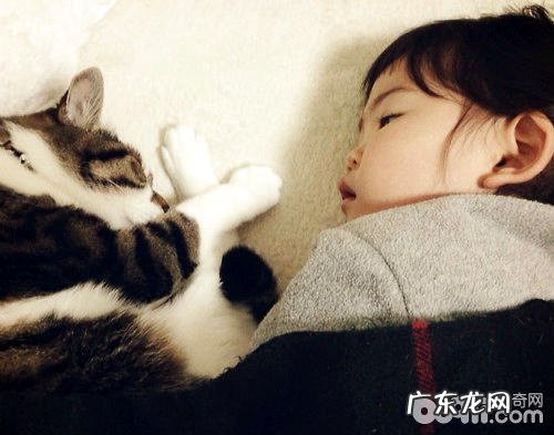 和猫咪一同睡好吗
