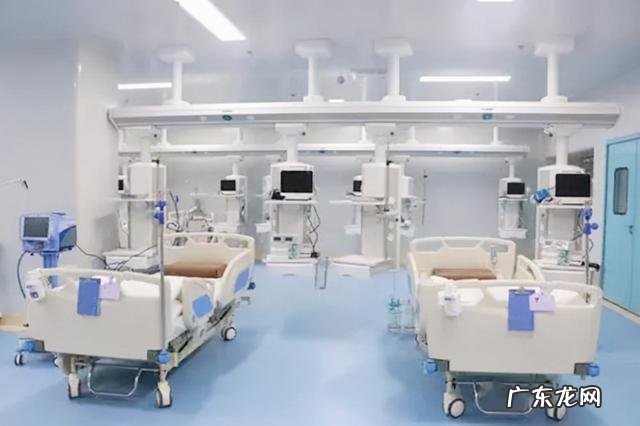 宝宝把蛋壳当成摇篮-蛋壳当摇篮的最小婴儿