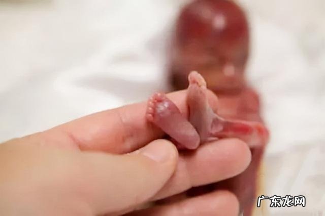 宝宝把蛋壳当成摇篮-蛋壳当摇篮的最小婴儿