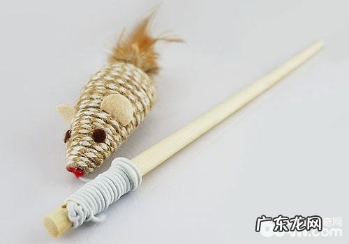 逗猫棒的运用技巧