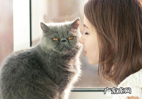 和猫咪的交流比练习更重要